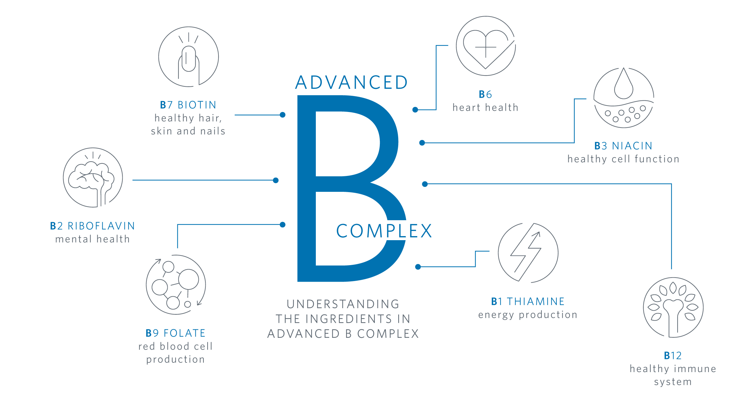 What is the Difference Between Vitamin B3 and B12
