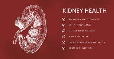 Graphic drawing of a kidney and steps one can take to maintain kidney health