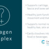 Graphic image of Cooper Complete Collagen Complex Supplement benefits.